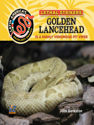 cover image of Golden Lancehead: Is a Highly Venomous Pit Viper